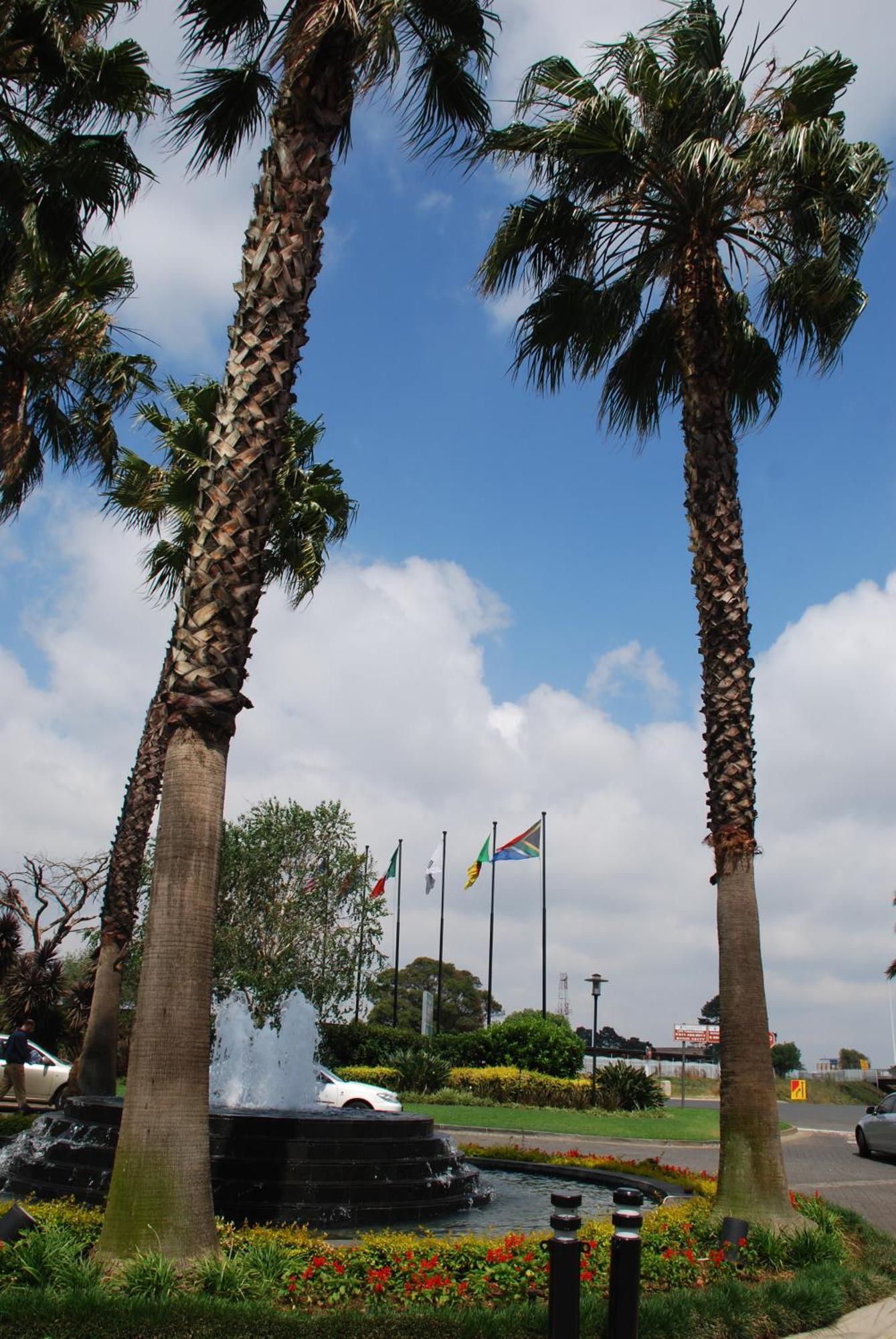 Southern Sun Or Tambo International Airport Kempton Park Exterior foto Welcome to Port Elizabeth